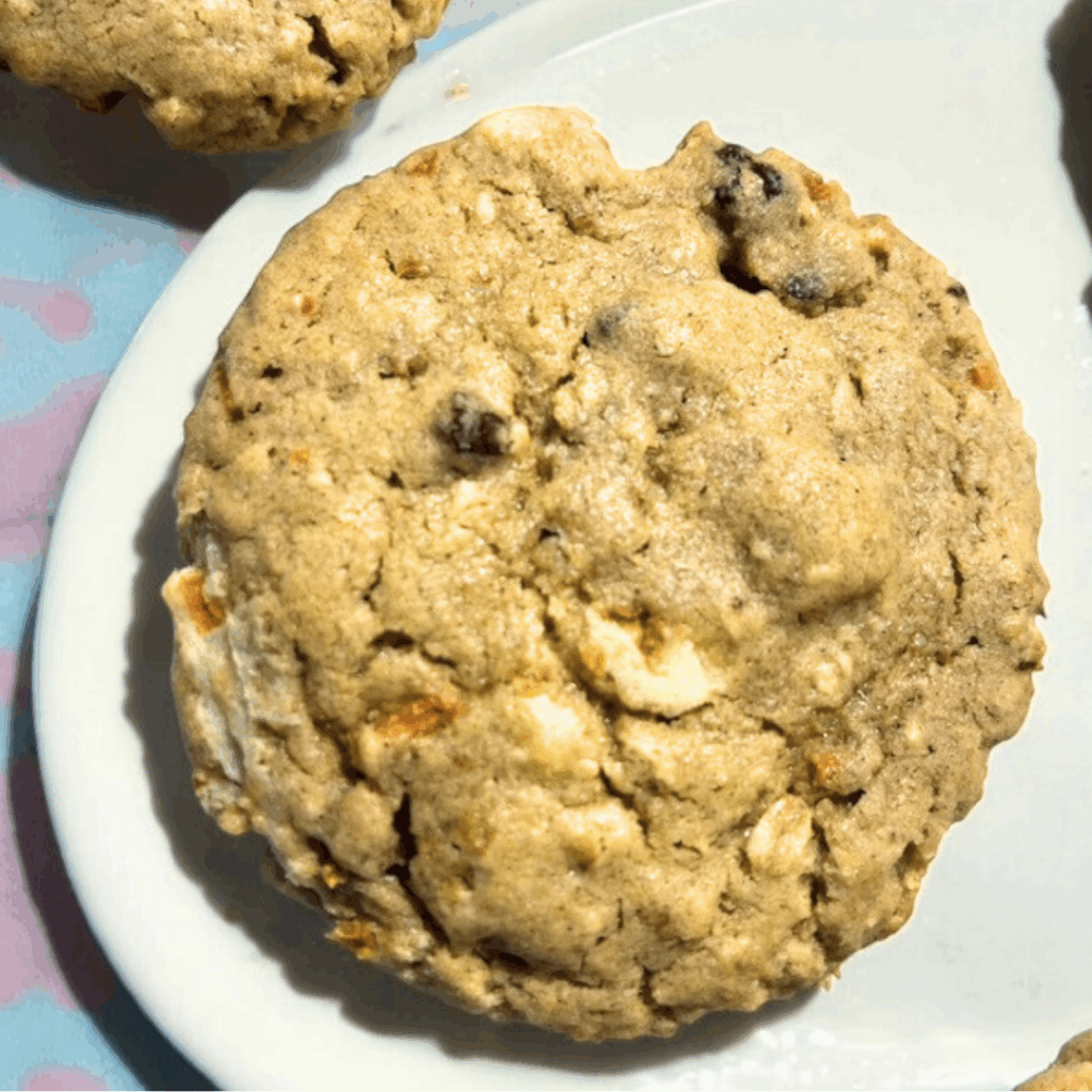 Close-up of a homemade oatmeal raisin cookie